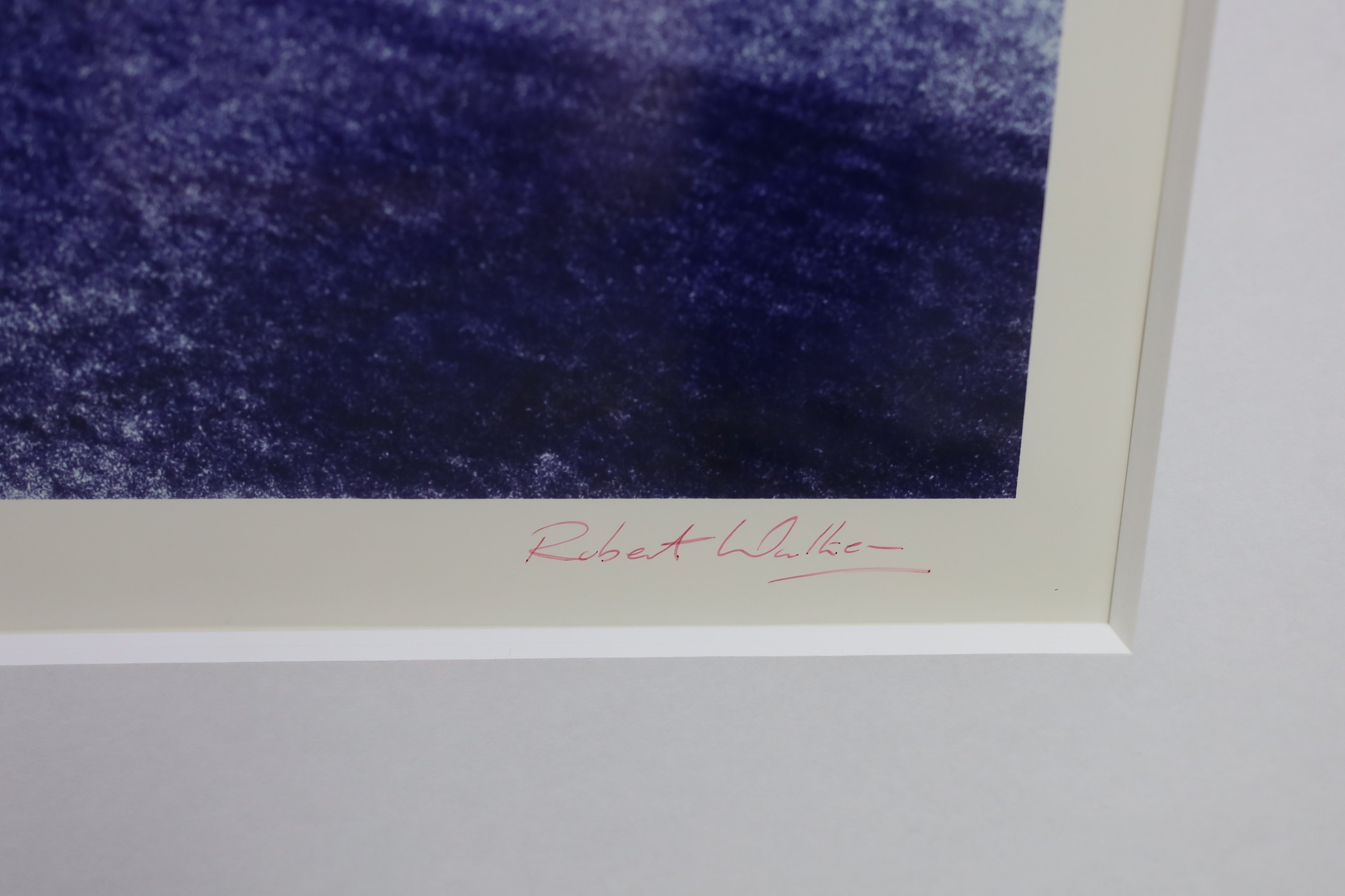 Robert Walker (Contemporary), photograph, Blue trees in a landscapes, signed, 2/25, 36 x 93cm